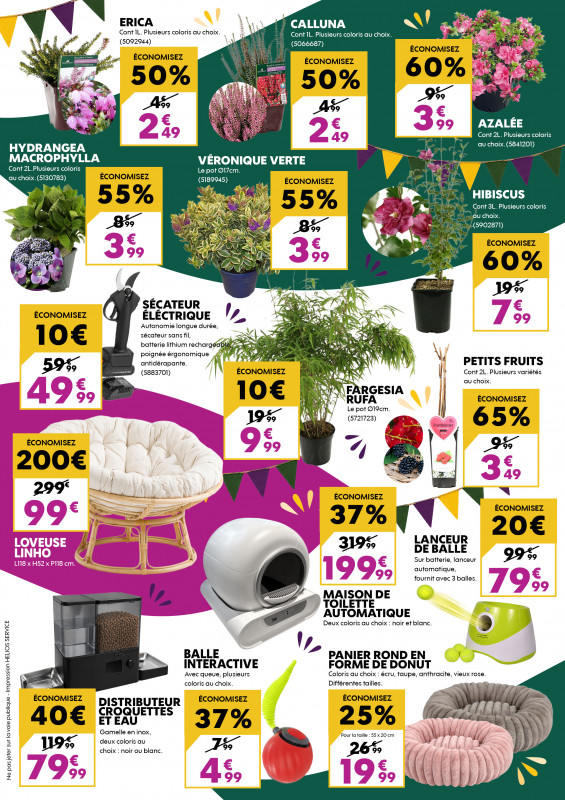 VISUEL FLYER- VERSO