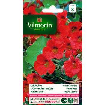 Graines de gazon à semer prairie pour lapins et poules Vilmorin - 500 g :  Vilmorin VILMORIN jardin - botanic®