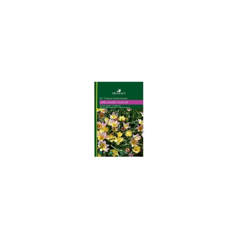 Bulbes de tulipes botaniques mix - x50