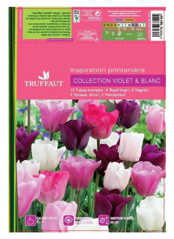 Assortiment tulipes : x15
