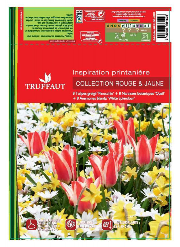 Assortiment tulipe/narcisse/anémone x24