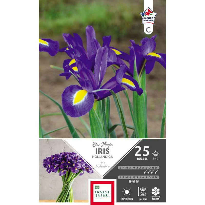 Iris Blue Magic : cal.8/9 x 25