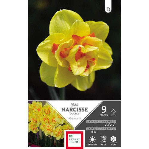 Narcisse Tahiti