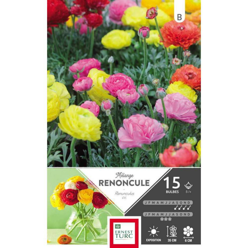 Bulbes de renoncules variés - x15