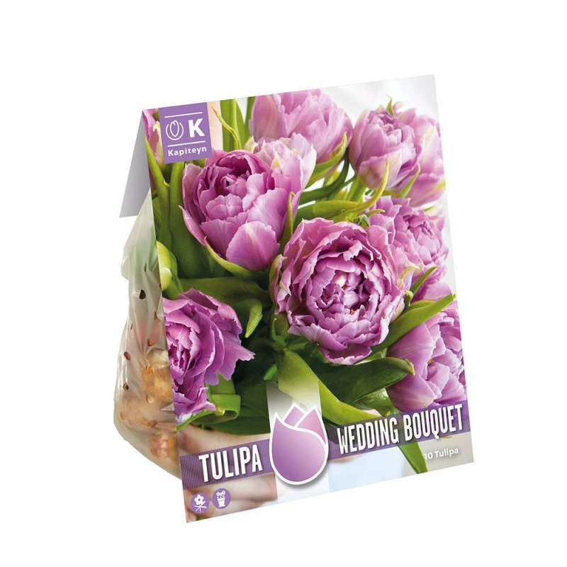 Bulbes de Tulipe Double W.Bouquet 12/+ X10