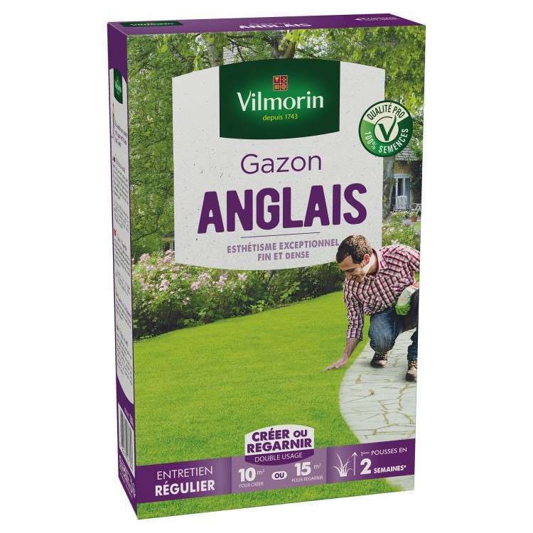 Gazon anglais en boite 250 g