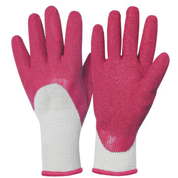 Gant rosier rose fushia T7