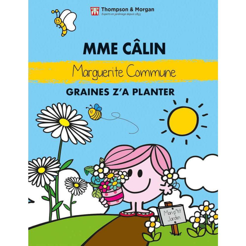 Graines De Fleurs Maguerite Commune Mme Calin