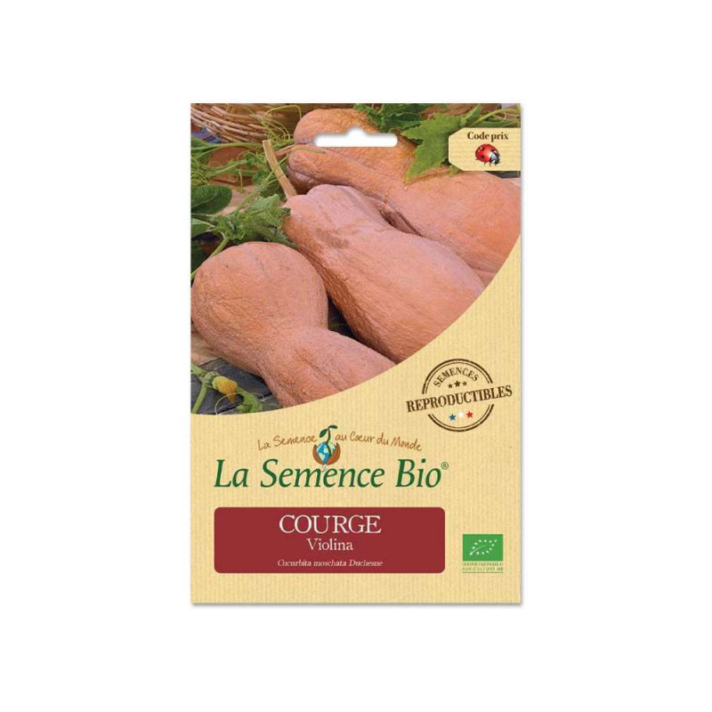 Graines de légumes Courge Violina Bio