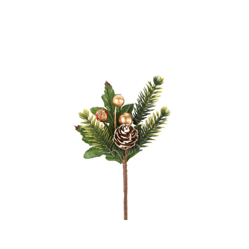 Branche De Sapin Vert