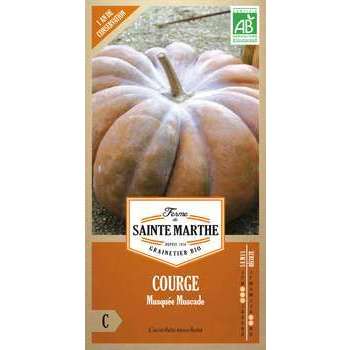 Graines de courge musquée muscade Bio en sachet