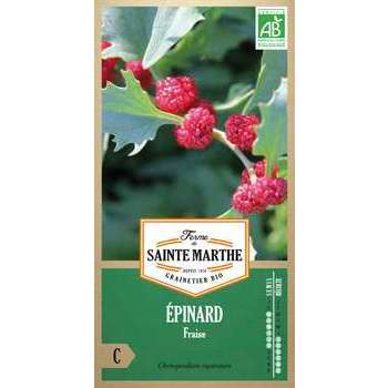 Graines d'épinard'fraise Bio en sachet