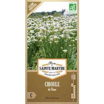 Ciboule de Chine - En sachet
