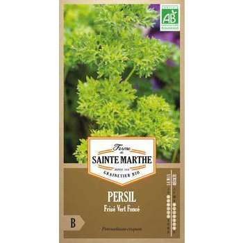 Persil frisé nain vert foncé - En sachet