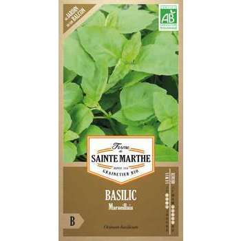 Basilic marseillais - En sachet