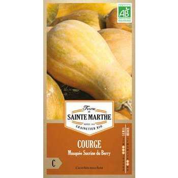 Graines de courge musquée Sucrine du Berry Bio en