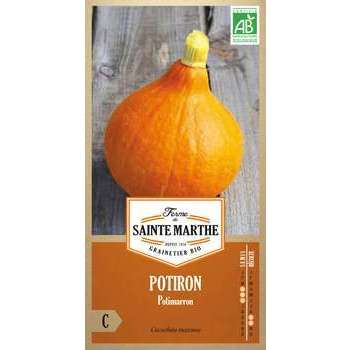 Graines de potiron Potimarron Bio en sachet