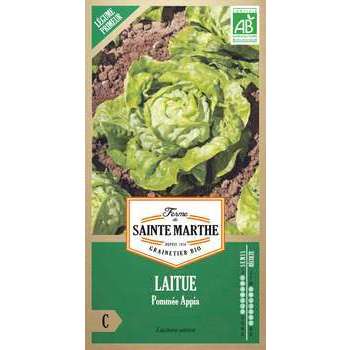 Graines de laitue Pommée Appia Bio en sachet