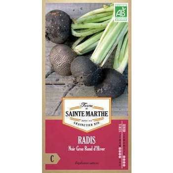 Graines de radis noir gros rond'd'hiver Bio en sac