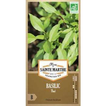 Basilic Thaï - En sachet