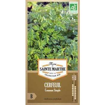 Cerfeuil commun - En sachet