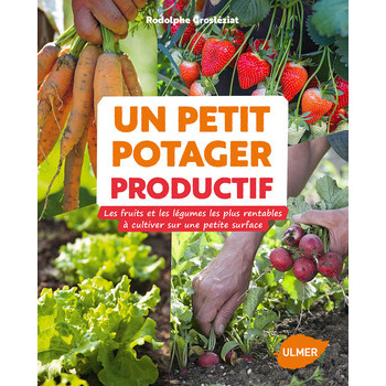 Petit potager productif