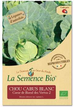 Chou cabus blanc C½ur de B½uf des Vertus Bio