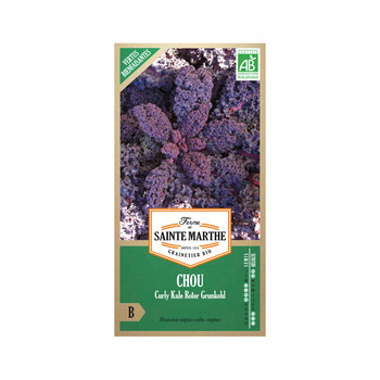 Chou kale roter grunkohl sachet 0,83 gr