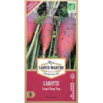 Graines de carotte longue rouge sang Bio en sachet
