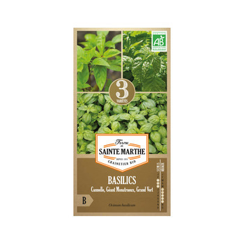 Basilic en mélange sachet