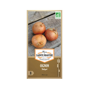 Graines d'oignons stuttgart Bio en sachet