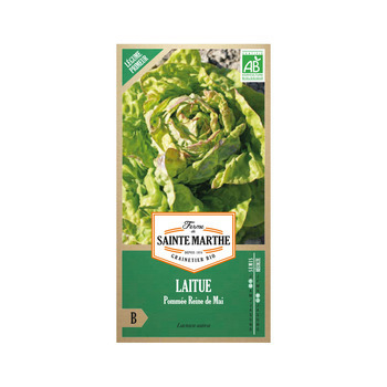 Graines de laitue pommée reine de mai Bio en sache