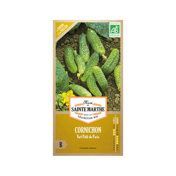 Graines de cornichon de paris sachet Bio en sachet