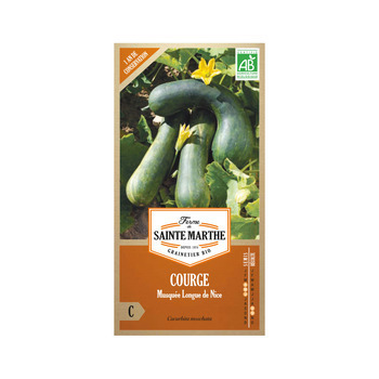 Graines de courge musquée longue de nice Bio en sa