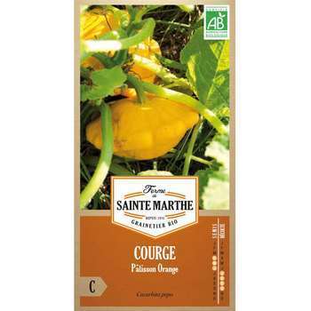 Graines de courge patisson orange Bio en sachet