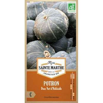 Graines de potiron doux vert d'hokkaido Bio en sac