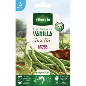 Graines de haricot nain Vert Vanilla en boite