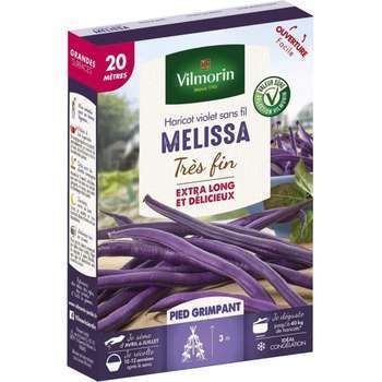 Graines de haricot Grimpant Violet Mélissa en boit