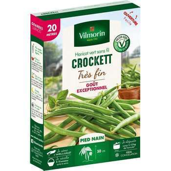 Graines de haricot nain Vert Crockett en boite