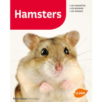 Hamsters - Les connaître