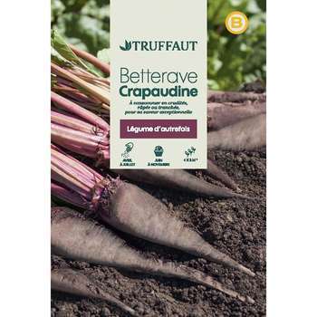 Graines de betterave Potagère Crapaudine en sachet