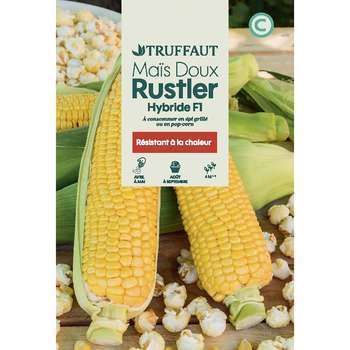 Graines de maïs sucre Rustler en sachet