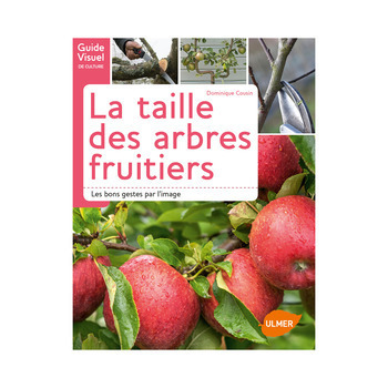 La taille facile des arbres fruitiers