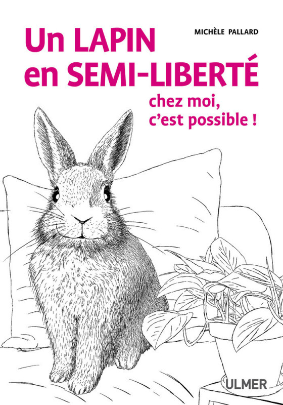 Livre Un lapin en semi-liberté chez moi, c'est pos
