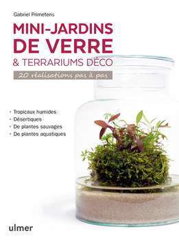 Mini-jardins de verre & terrariums déco