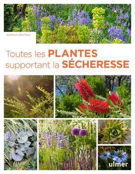 Toutes les plantes supportant la sécheresse