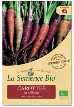 Graines potagères Carotte en Mélange Bio 1,2g