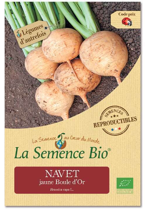 Graines potagères Navet Jaune Boule d'Or bio
