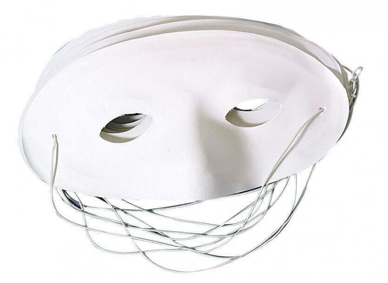 Loups en plastique blanc à décorer x 5 pcs