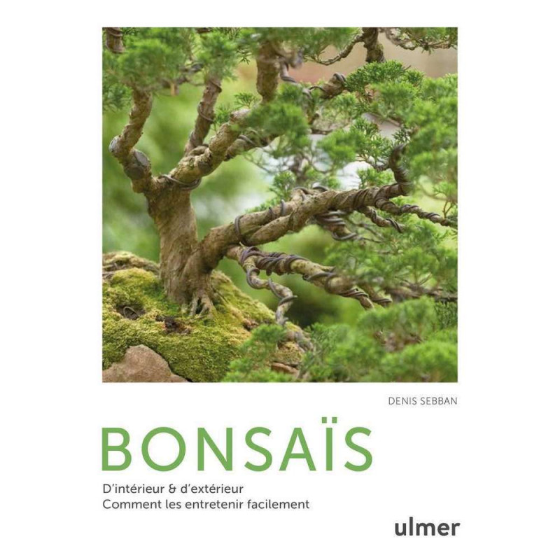 Bonsaï d'intérieur et d'extérieur